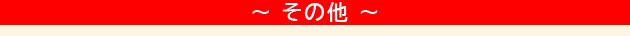 その他